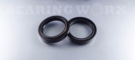 BearingWorx Dust Seal